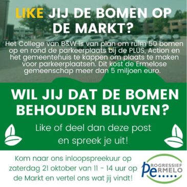 Like jij de bomen op de Markt?